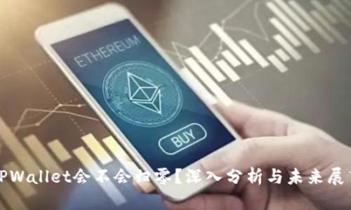 TPWallet会不会归零？深入分析与未来展望