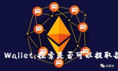 了解TP Wallet：探索是否可