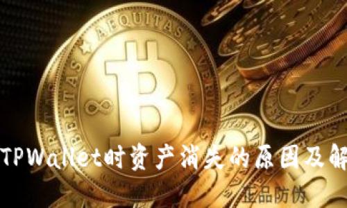 提币到TPWallet时资产消失的原因及解决方法