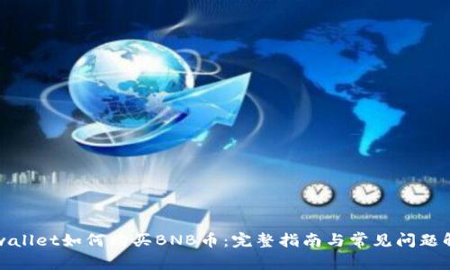 tpwallet如何购买BNB币：完整指南与常见问题解析