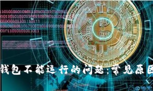 解决比特币钱包不能运行的问题：常见原因与解决方法