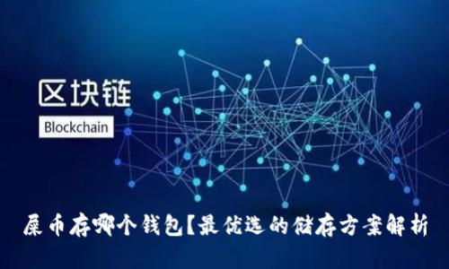 屎币存哪个钱包？最优选的储存方案解析