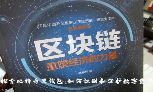 探索比特币黑钱包：如何识别和保护数字资产
