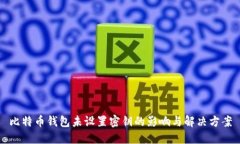 比特币钱包未设置密钥的影响与解决方案