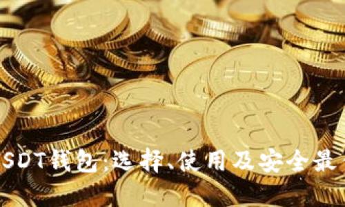 详解USDT钱包：选择、使用及安全最佳实践