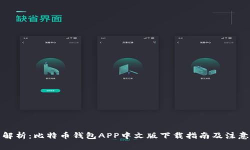 全面解析：比特币钱包APP中文版下载指南及注意事项