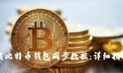 如何高效下载比特币钱包同步数据：详细指南与