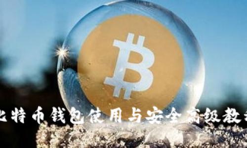 比特币钱包使用与安全高级教程