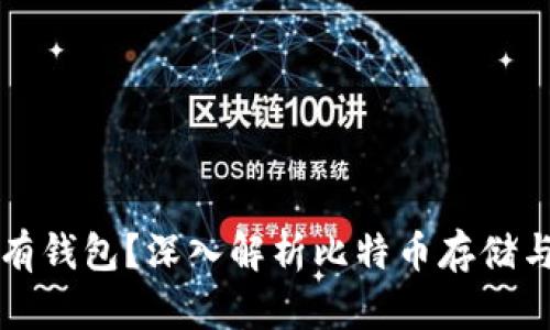 比特币没有钱包？深入解析比特币存储与管理方式