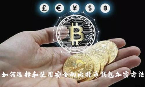 如何选择和使用安全的比特币钱包加密方法