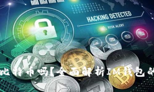IM钱包能存储比特币吗？全面解析IM钱包的功能与安全性
