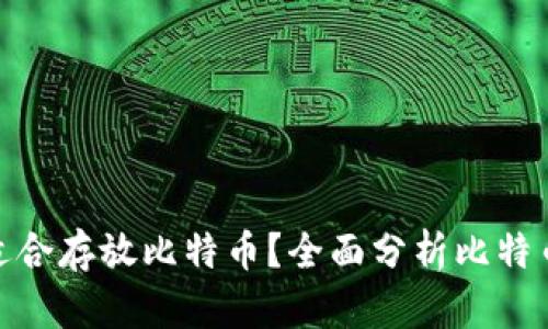 哪个钱包最适合存放比特币？全面分析比特币钱包的选择