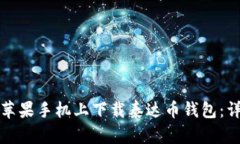 如何在苹果手机上下载泰达币钱包：详细指南