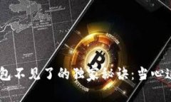 揭秘USDT存钱包不见了的独家秘诀：当心这四个常