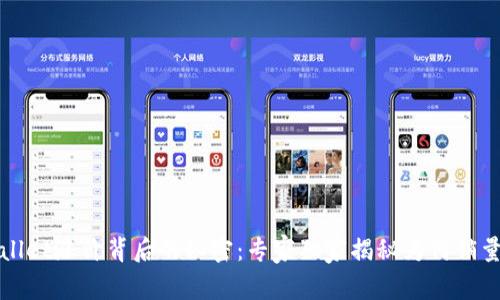 TPWallet涨价背后的秘密：专家独家揭秘为何销量受限