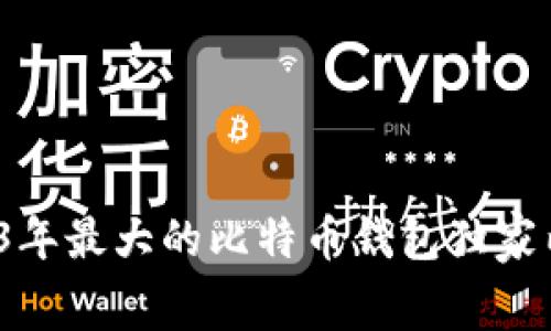 专家揭秘：2023年最大的比特币钱包独家内幕与使用秘诀
