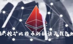 专家独家揭秘：挖矿比特