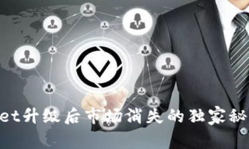 专家揭秘：TPWallet升级后市场消失的独家秘诀，快速解决问题！