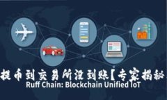 TPWallet提币到交易所没到账？专家揭秘独家秘诀！