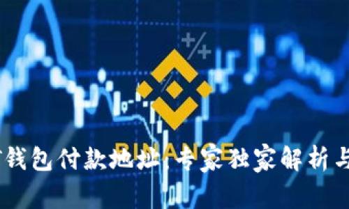 揭秘USDT钱包付款地址：专家独家解析与使用秘诀