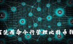 专家揭秘：如何使用命令行管理比特币钱包的独