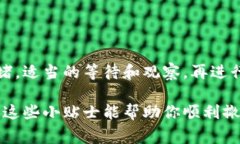 添加流动性到TPWallet（或类似的去中心化金融平台