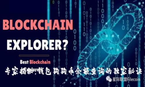 专家揭秘：钱包狗狗币余额查询的独家秘诀