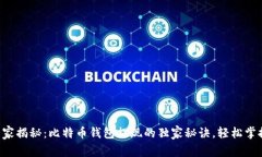 专家揭秘：比特币钱包提