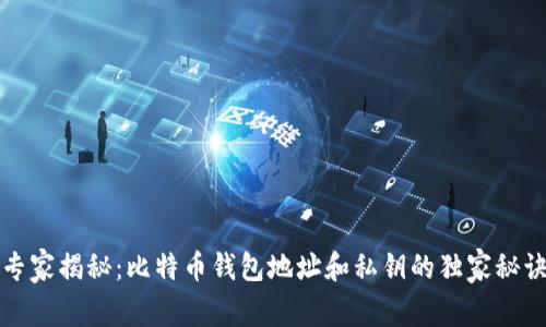 专家揭秘:比特币钱包地址和私钥的独家秘诀