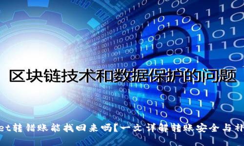 tpwallet转错账能找回来吗？一文详解转账安全与补救措施