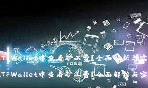 如何在TPWallet中查看矿工费？全面解析与实用技巧

如何在TPWallet中查看矿工费？全面解析与实用技巧