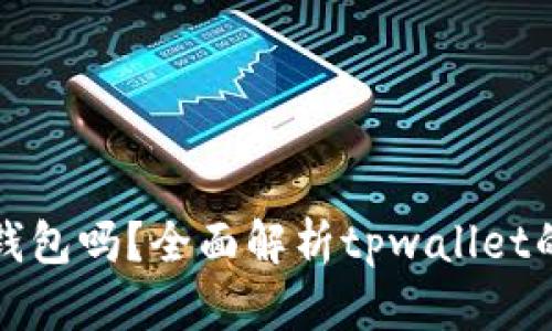 tpwallet是冷钱包吗？全面解析tpwallet的安全性与功能