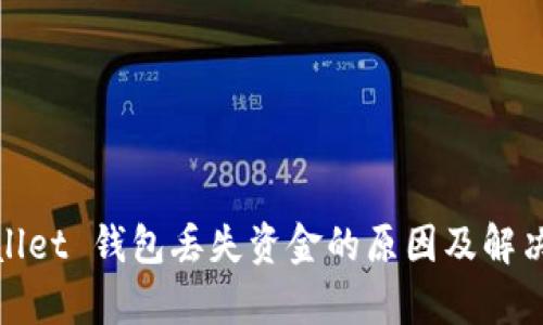 tpwallet 钱包丢失资金的原因及解决方案