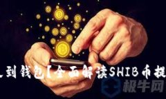 SHIB提币多久到钱包？全面解读SHIB币提币时间与流