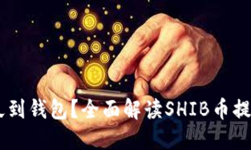 SHIB提币多久到钱包？全面解读SHIB币提币时间与流程