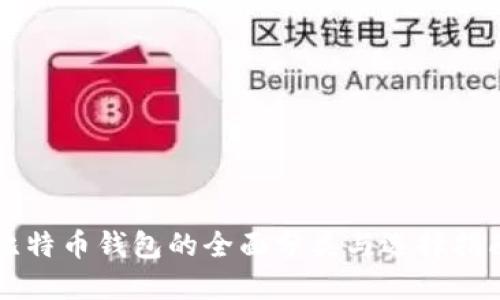 比特币钱包的全面分类与选择指南