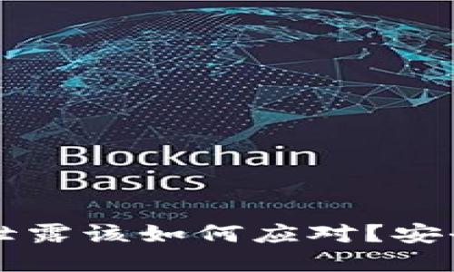 TPWallet助记词泄露该如何应对？安全指南与解决方案