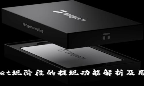 TPWallet现阶段的提现功能解析及用户指南