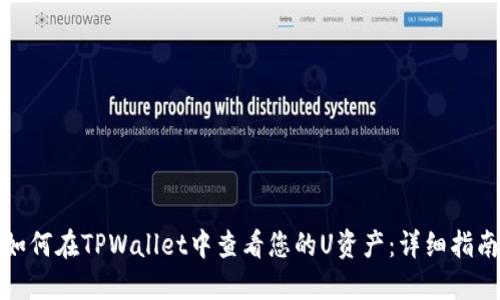 如何在TPWallet中查看您的U资产：详细指南