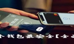 屎币存入哪个钱包最安全