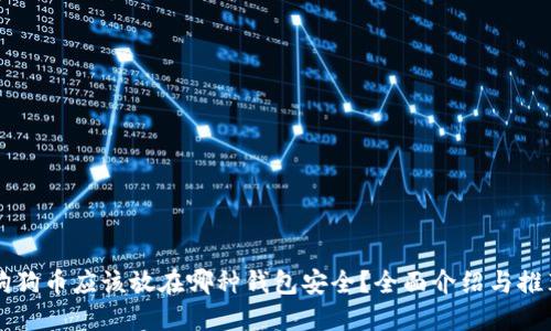 狗狗币应该放在哪种钱包安全？全面介绍与推荐