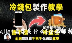 真正的TPWallet名字是什么？全面解析与使用指南