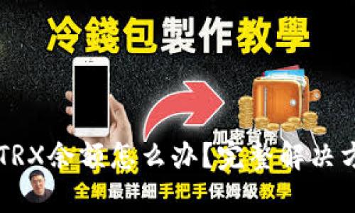 TPWallet没有TRX余额怎么办？完整解决方案与步骤解析